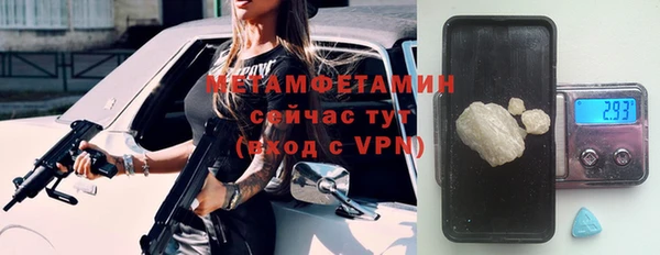 прущие грибы Кулебаки