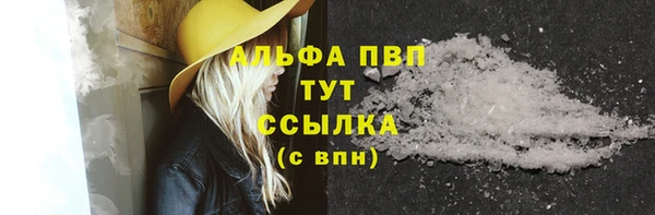 прущие грибы Кулебаки
