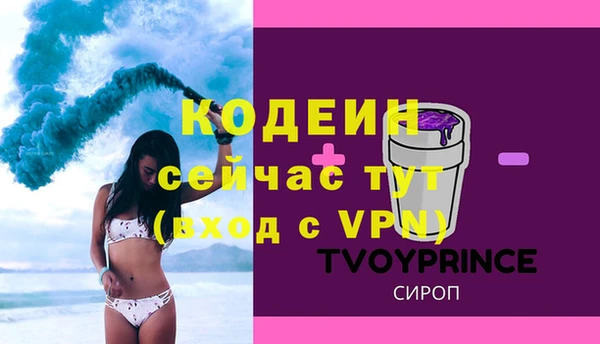 прущие грибы Кулебаки