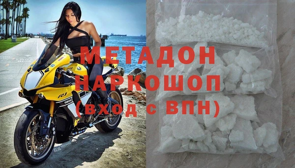 прущие грибы Кулебаки