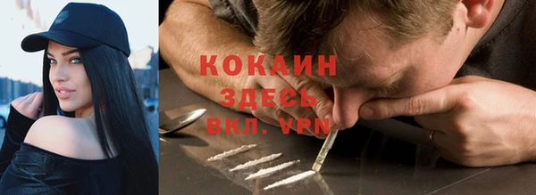 твердый Куйбышев