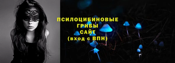СК Кукмор