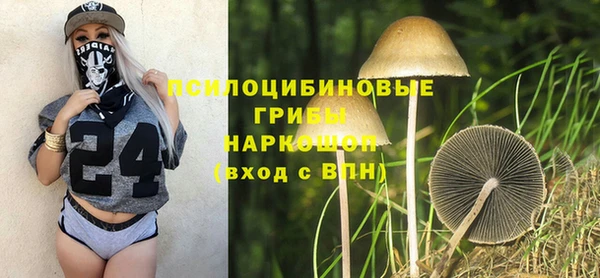 ПСИЛОЦИБИНОВЫЕ ГРИБЫ Красноперекопск