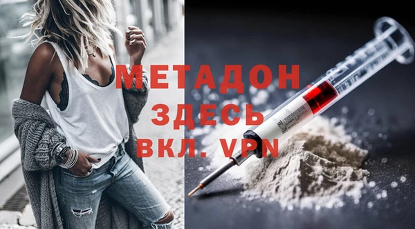 прущие грибы Кулебаки