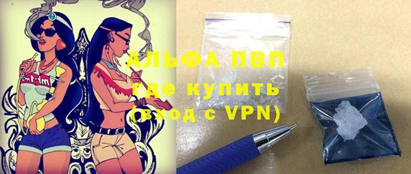прущие грибы Чекалин