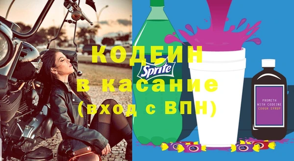 прущие грибы Кулебаки