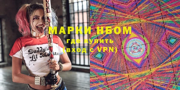 прущие грибы Кулебаки
