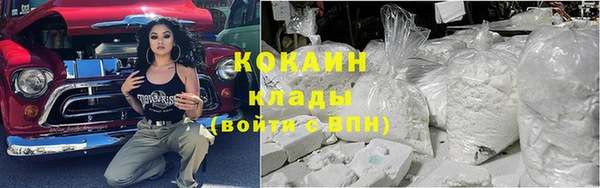 прущие грибы Кулебаки